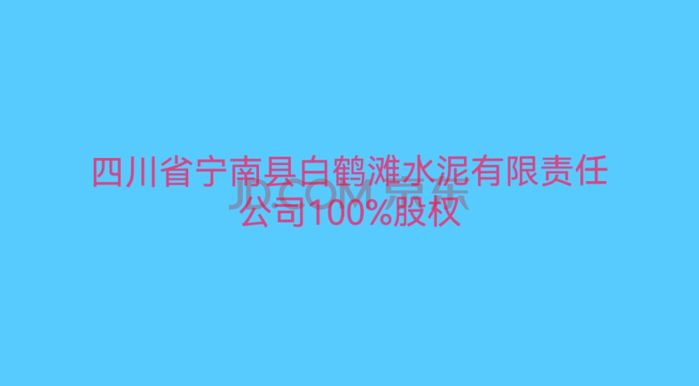 （第一次拍卖）四川省宁南县白鹤滩水泥有限责任公司100%股权